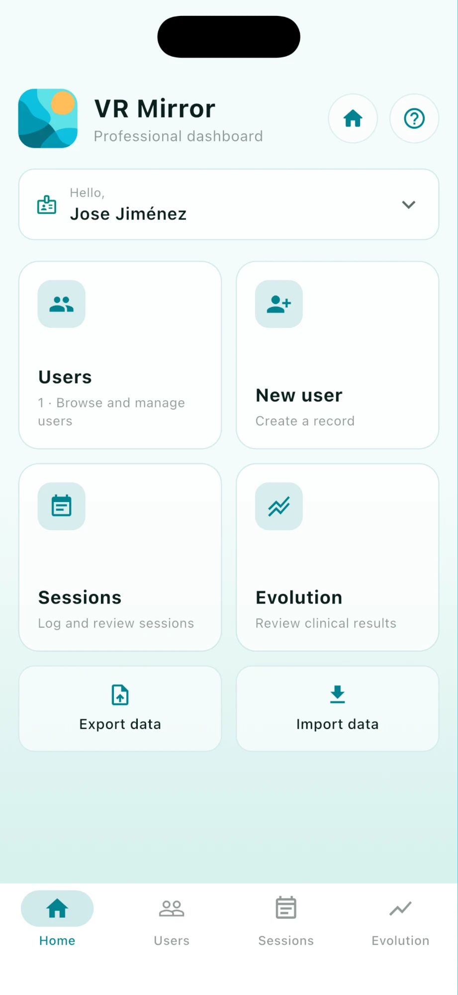 VR Mirror — panel profesional